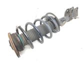 Front shock absorber with coil spring