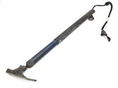 Tailgate/trunk strut/damper