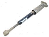 Rear shock absorber/damper