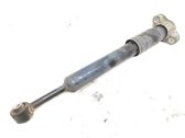 Rear shock absorber/damper