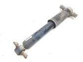 Rear shock absorber/damper