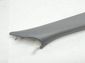 (A) pillar trim