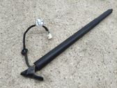 Tailgate/trunk strut/damper