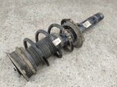 Front shock absorber with coil spring