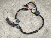 Rear door wiring loom