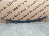 Wiper trim