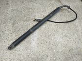 Tailgate/trunk strut/damper