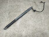 Tailgate/trunk strut/damper