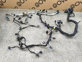 Faisceau de câblage pour moteur