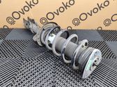 Front shock absorber with coil spring