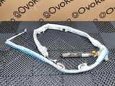Roof airbag