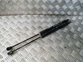 Tailgate/trunk strut/damper