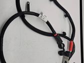 Other wiring loom