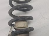 Rear coil spring