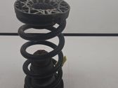 Rear coil spring