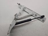 Tailgate/trunk/boot hinge