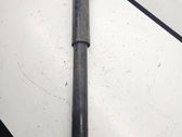 Rear shock absorber/damper