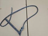 Rubber seal front door window/glass