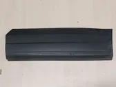 Rear door trim (molding)