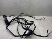 Rear door wiring loom