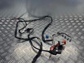 Other wiring loom