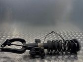 Front shock absorber with coil spring