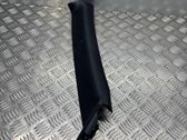 (A) pillar trim