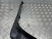 Kita bagažinės apdailos detalė