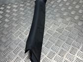 (A) pillar trim