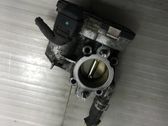 Throttle body valve