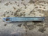 Front bumper lower grill