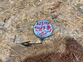 Rear bumper row hook cap/cover