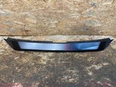 Front grill