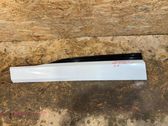 Front door trim (molding)
