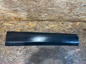 Front door trim (molding)