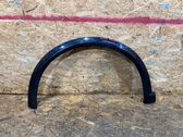 Fender trim (molding)