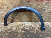 Fender trim (molding)
