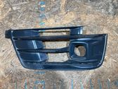 Front fog light trim/grill
