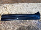 Front door trim (molding)