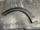 Fender trim (molding)
