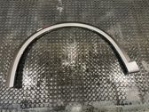Fender trim (molding)