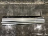 Front door trim (molding)