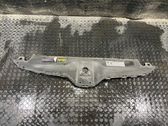 Engine bonnet/hood lock trim molding