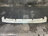 Front bumper lip