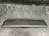 Front bumper lower grill