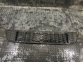 Front bumper lower grill