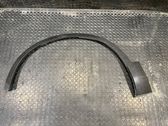 Fender trim (molding)
