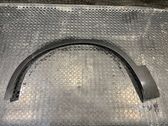 Fender trim (molding)