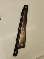 BMW 5 E60 E61 Rivestimento della portiera anteriore (modanatura) 