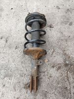 Hyundai Santa Fe Front shock absorber with coil spring 